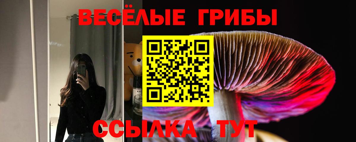 где купить   Вход с VPN  Удомля  Галлюциногенные грибы MAGIC MUSHROOMS 